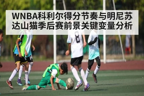 WNBA科利尔得分节奏与明尼苏达山猫季后赛前景关键变量分析 - Kaiyun